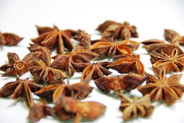 Obraz premium アニス