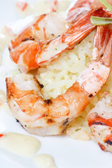 king tiger prawn shrimp with rice.