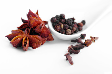 Spices on the white background. Cloves, anise, pepper