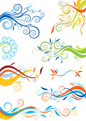 Set of floral colorful design element