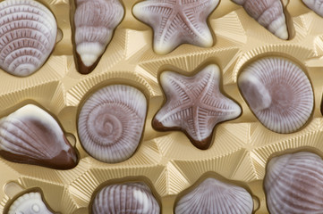 brown chocolate candy closeup