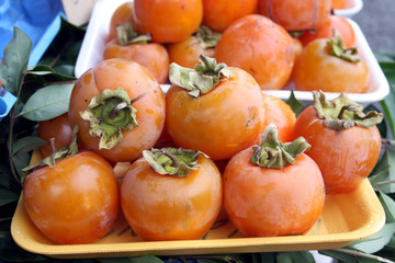 Persimmon