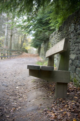 Park bench in countryside