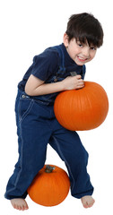 Boy Picking Pumpkins - obrazy, fototapety, plakaty