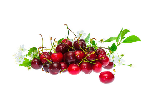 Heap  berries of a cherry
