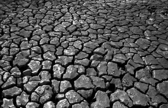 dry soil- dry season in Cambodia