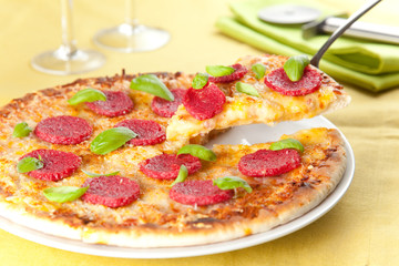 cheese and pepperoni pizza
