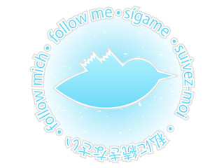 Multilingual follow me texture blue twitter bird badge