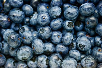 Blueberries