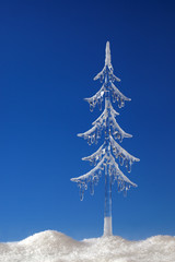 fir tree from icicle