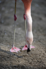 Looking for something