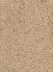 Background of natural sea sand. Each grain of sand is clearly visible.
