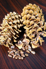 Pine nut grain