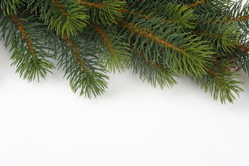 fir tree - christmas background