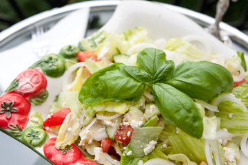 grüner Salat mit Feta Käse und Basilikum