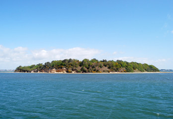 Naklejka premium Island in Poole harbour