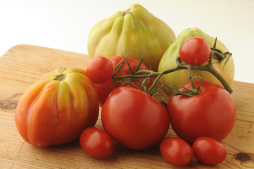 Varietà di pomodori