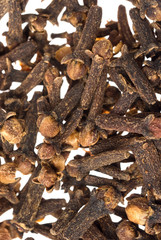 cloves closeup isolated on white background