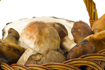 Closeup of mushrooms in the basket
