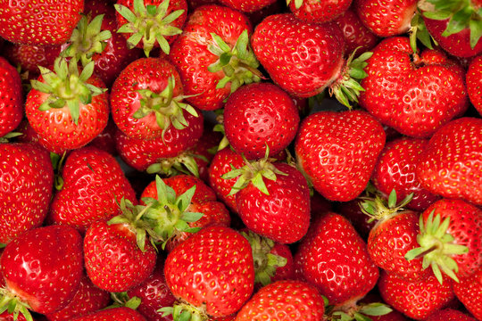 lot of strawberries