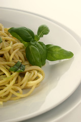 spaghetti with organic home made pesto on a plate