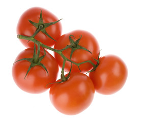 red tomatoes