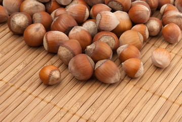 many brown hazelnuts with hard nutshells