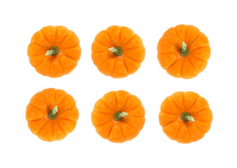 Small Thanksgiving pie pumpkins