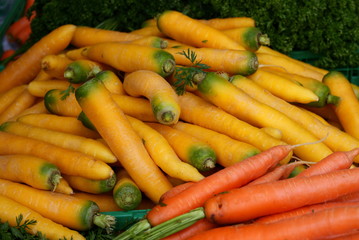 Pile of yellow and red carrots