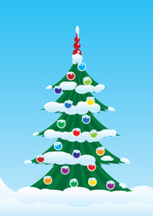 Christmas Spruce