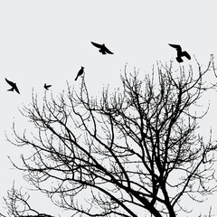 Branche et oiseaux