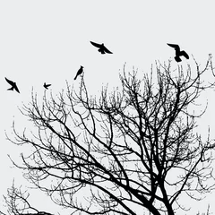 Verduisterende gordijnen Vogels in boom Tak en vogels