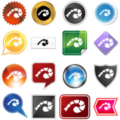 shrimp icon set