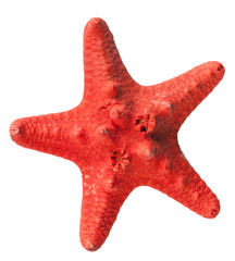 Red Starfish