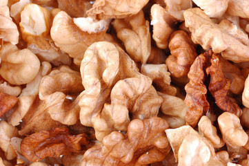 the kernel of nut