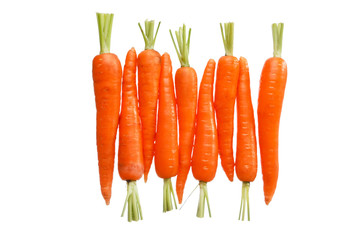Carrot.