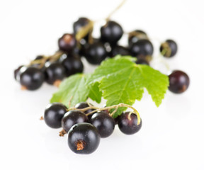 Black currant.