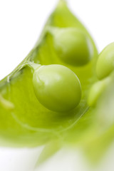 fresh peas on white background