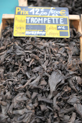 Champignons trompettes de la mort