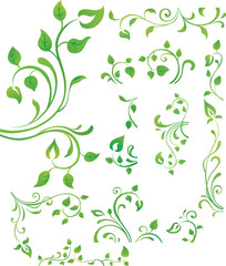 Vector collection of green branches with leaves.