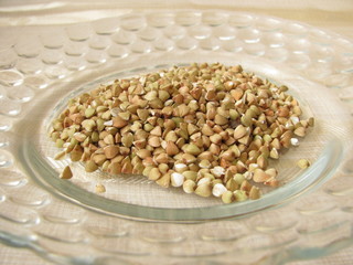 Buchweizen, Fagopyrum esculentum