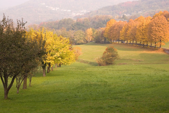 autumnal landscape