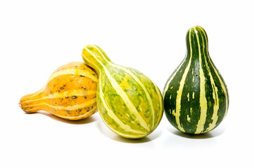 Calabazas de temporada 2