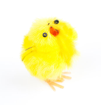 Baby Easter chicken