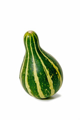 Calabazas de temporada 6