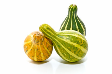 Calabazas de temporada 7