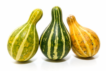 Calabazas de temporada 11