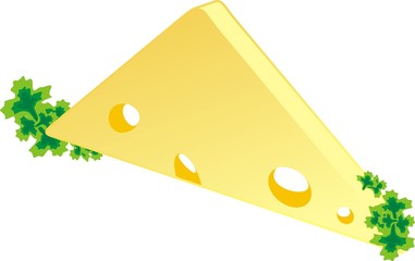 Piece of a cheese with parsley. Vector