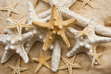 Estrellas de Mar y Paperl Viejo