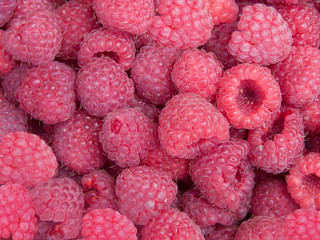 Berries   raspberry
